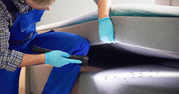 Best Rat Extermination Near Me  in La Grande, OR