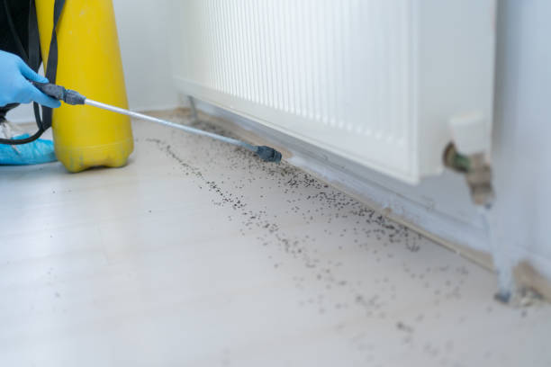 Professional Pest Control in La Grande, OR