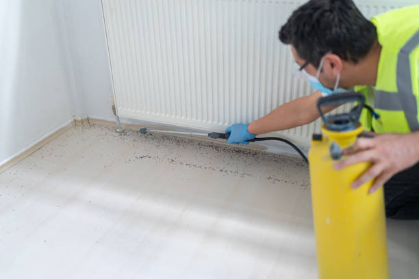 Best Affordable Pest Control Services  in La Grande, OR